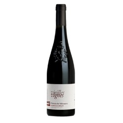 Chateau De Villeneuve Saumur-Champigny Vieilles Vignes - Vin Bio | French Wine